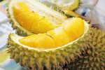 Nguy hại tìm ẩn trong quả sầu riêng