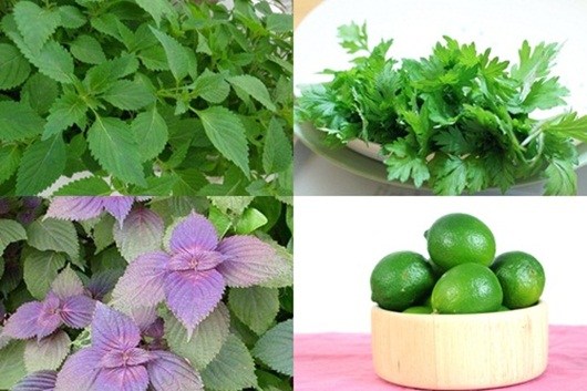 Sạch mụn, trắng da chỉ với 10 nghìn, bạn đã biết chưa?