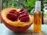 Da trắng mịn hồng hào sau 5 phút nhờ hỗn hợp rẻ tiền này