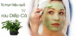Sạch mụn, trắng da chỉ sau một tháng nhờ rau diếp cá – cám gạo