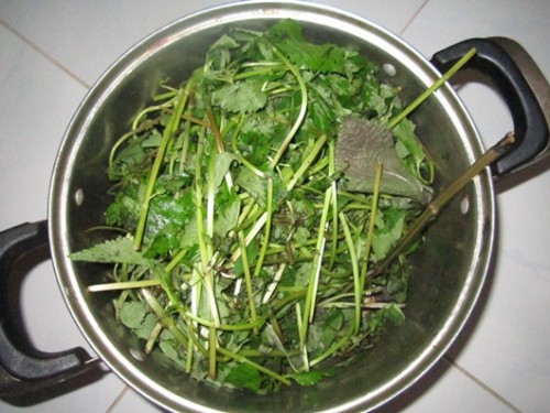 Da trắng mịn gấp 100 lần đi spa, khi xông mặt với các loại lá sau