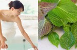 Không cần tốn tiền đi tắm trắng, loại lá này cũng sẽ giúp da bạn trắng hồng rõ rệt