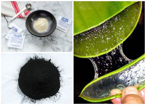 Mụn đầu đen cứng đầu đến đâu cũng chui ra hết chỉ với miếng lột tự chế này
