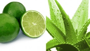 Chanh tươi, tỏi, nha đam... đánh bay những nốt mụn thịt cứng đầu