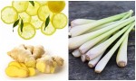 Xông hơi 1 tuần 2 lần với sả – chanh – gừng, mụn hết sạch, da trắng mịn siêu tốc