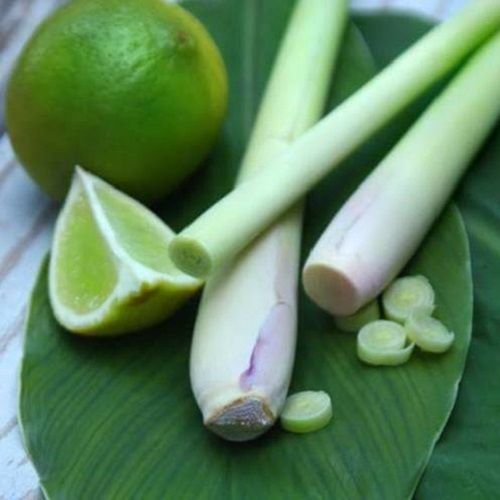 Đun 1 cây sả + 1 quả chanh: Mát gan, giải độc và giảm 4kg chỉ trong 1 tuần