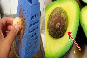 Ăn bơ đừng bỏ hạt, đó là "thần dược" ngăn lão hóa da hiệu quả đấy!