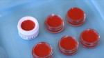 Tự làm son môi từ củ dền siêu đẹp, không chì, không lo thâm môi