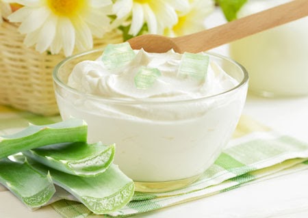 CÁCH NẤU NƯỚC NHA ĐAM ĐƯỜNG PHÈN NGON, ĐẸP DA VÀ GIÚP CHỮA BỆNH
