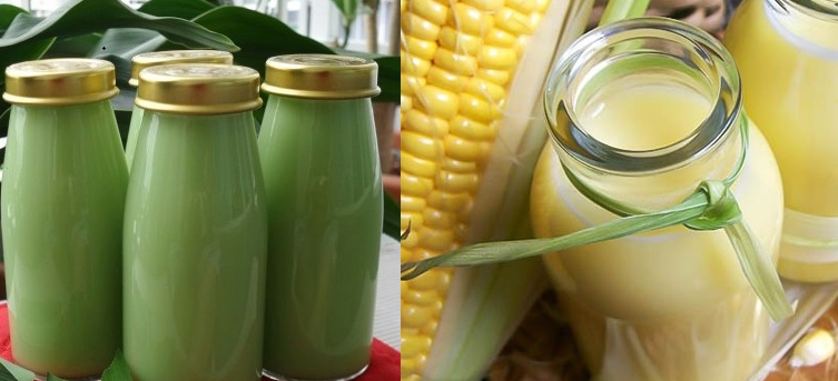Cách làm sữa ngô, đậu xanh cốt dừa, nước gạo bổ dưỡng bán kiếm bộn tiền