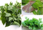 Xông mặt bằng chậu nước này, da đen sạm cũng phải trắng sáng gấp 100 lần sử dụng kem lột