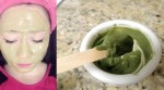 5 công thức mặt nạ từ trà xanh chăm sóc da vô cùng hiệu quả