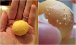 Té ngửa với kết quả bất ngờ khi lăn trứng gà lên mũi!