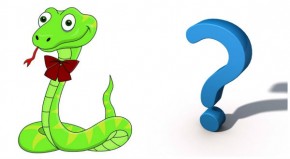 4 con giáp có số làm chức to và dễ thành công hơn người khác