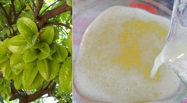 Xay nhuyễn khế rồi đắp lên mặt, da trắng lên từ 2 tông chỉ sau vài lần sử dụng