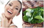 3 công dụng làm đẹp không ngờ tới của lá chanh cho chị em phụ nữ