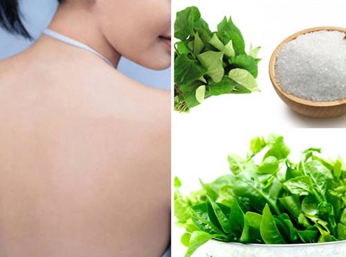 Ngạc nhiên với công dụng trị sạch tất tần tật cả các loại mụn chỉ với 1 nắm rau mồng tơi