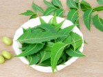 Xóa sẹo khoe lưng gợi cảm với 7 mặt nạ tự nhiên
