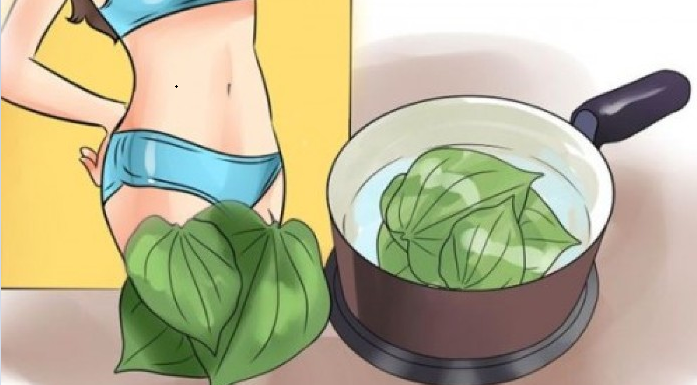 Tắm với lá này, con gái không những có làn da trắng sáng mà còn không lo vùng kín có mùi