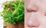 Bí quyết se khít lỗ chân lông hiệu quả với rau răm, dùng 1 lần 1 đời mê