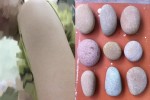 "Chia sẻ với các mẹ công dụng làm đẹp của đá kỳ, da mướt mát hơn cả đi spa ạ!"