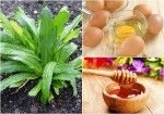 Mụn chìm, mụn ẩn li ti dưới da cũng tự khắc chiu ra chỉ với 1 lần đắp mặt nạ này
