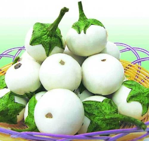 Sạch bong tàn nhang lâu năm sau 1 tuần với bí xanh và cà trắng rất dễ làm
