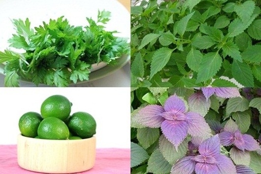 Xông hơi với thảo dược này, mụn sẽ hết sạch chỉ sau 1 tháng