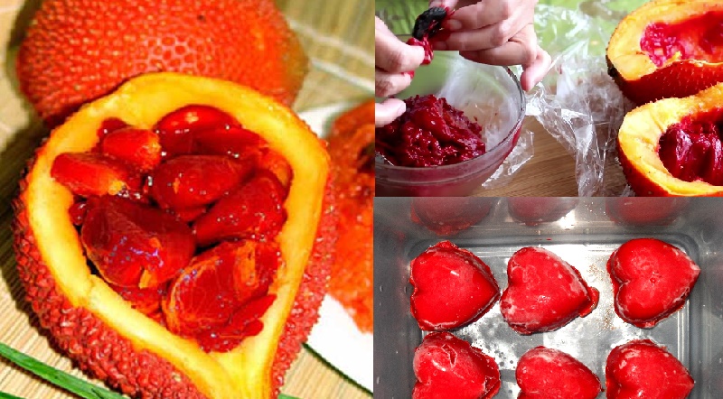 Mẹo bảo quản gấc đến cả năm trời không hỏng, ai không biết tiếc cả đời