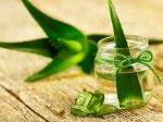 Làm trắng da tay cấp tốc tại nhà với 5 mặt nạ thảo dược