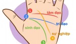 Biết "tất tần tật" về bản thân qua 4 đường chỉ tay cơ bản, ai cũng có thể tự xem