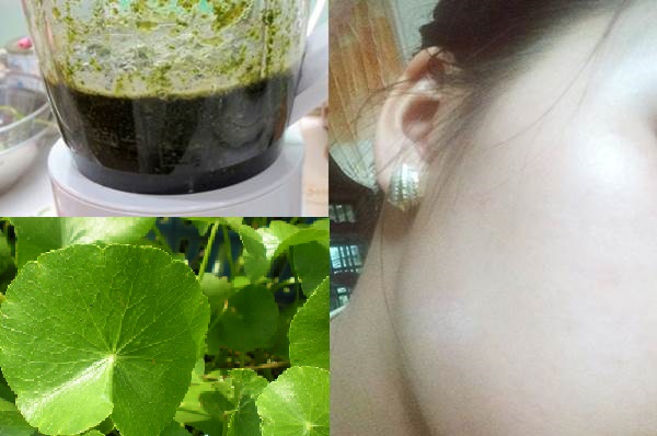 Biến da đen sạm thành trắng mịn như bông bưởi sau 3 lần đắp rau má theo cách này