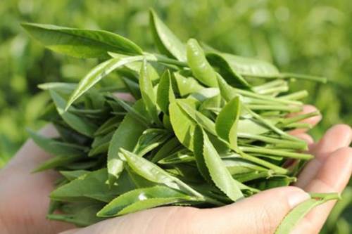 Đập tan mỡ bụng, dưỡng dáng thon gọn chỉ với một cái ‘búng tay’