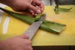 Cứu tinh cho làn da khô, mụn ngờ đâu lại là nguyên liệu dễ tìm này