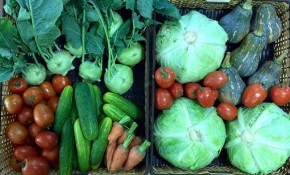 Cách khử độc tố trong rau củ quả, không muốn bị ung thư thì ai cũng nên đọc