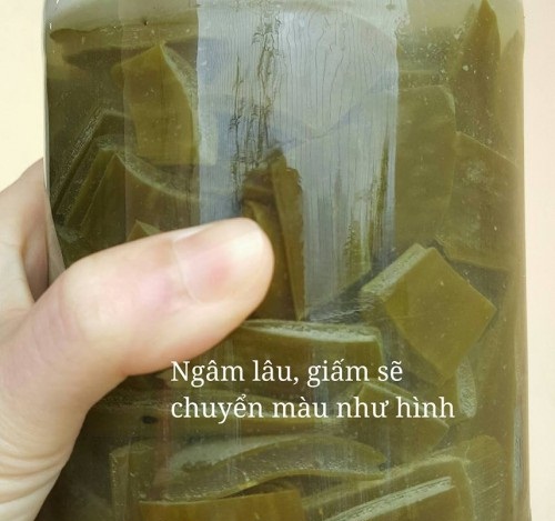 Sử dụng nha đam ngâm giấm để bạn sở hữu làn da trắng mịn như em bé