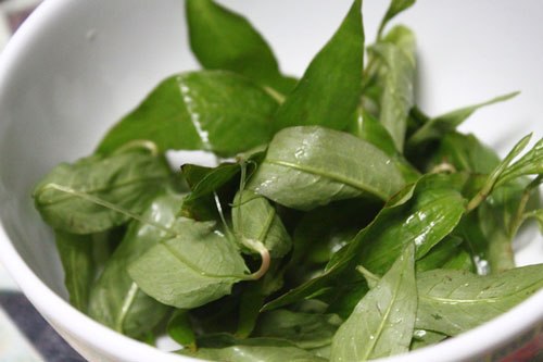 Giã nát rau răm trộn với muối, lỗ chân lông cực to cũng se khít nhanh chóng