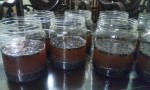 Da trắng không tì vết, Dáng chuẩn, eo thon nhờ ĐỖ ĐEN + GIẤM