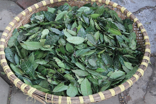 Kinh nghiệm giảm 10kg chỉ trong 4 tháng chỉ bằng uống nước chè tươi