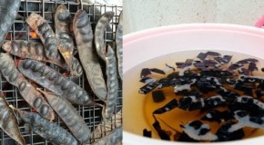 6 loại dầu gội đầu tự chế khiến chị em nào cũng “BỒ KẾT” vì hiệu quả trị gàu, mềm mượt