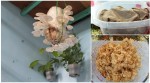 Hướng dẫn trồng nấm tại nhà tốn chưa tới 100k vốn mà ăn mấy tháng trời nè mấy mẹ ơi