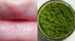 Giã nát rau này thoa ngày 2 lần, môi thâm xì cũng trở nên hồng hào khó tin