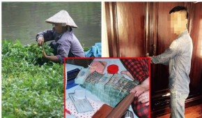 Trời rét, vợ hái từng mớ rau kiếm tiền mua thuốc cho con, mà chồng nhẫn tâm trộm hết!