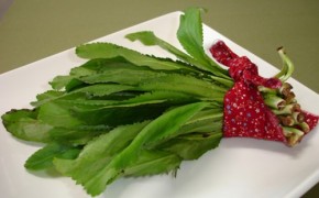 Cách trị dứt điểm hôi miệng chỉ sau 5 phút, nên thử ngay