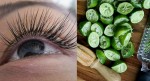 Mi cong dày và cong vuốt chỉ sau 1 tuần nhờ vài chiếc vỏ chanh bỏ đi