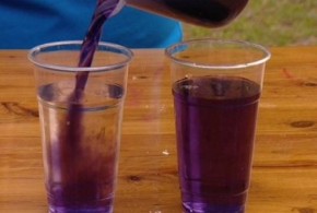 1 ly nước ép lên men này sẽ làm đẹp da, giảm ung thư và tăng cường hệ miễn dịch