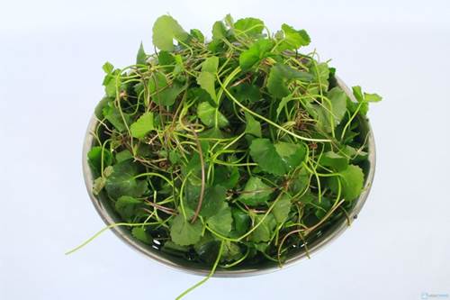 3 công thức làm đẹp “bao trọn” làn da mụn, sạm đen, thâm sẹo trở nên láng mịn, trắng bóc