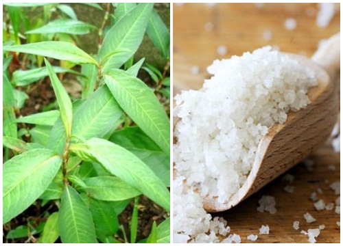 Sau tất cả, rau răm vẫn là loại “thần dược” biến lỗ chân lông to trở nên khít khìn khịt tức thì