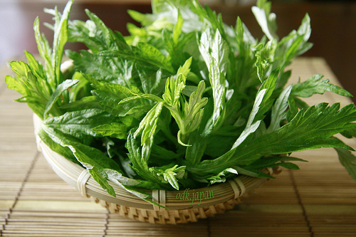 Tuyệt chiêu sở hữu làn da trắng như sứ sau 1 tuần tắm nước lá này