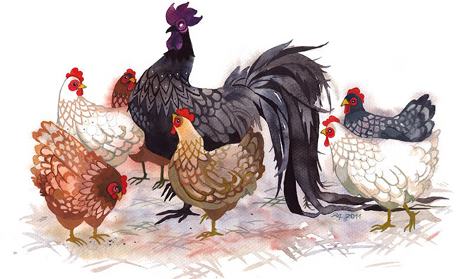 3 con giáp trời phú cho khả năng kinh doanh: Tương lai giàu to, không tận dụng quá phí